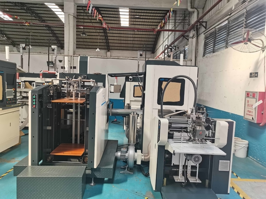 Ls-300D Intelligente het Plaatsen Stijve Doos die tot het Suikergoed maken van het Machineroomijs de Kleine Machine van de Doosverpakking